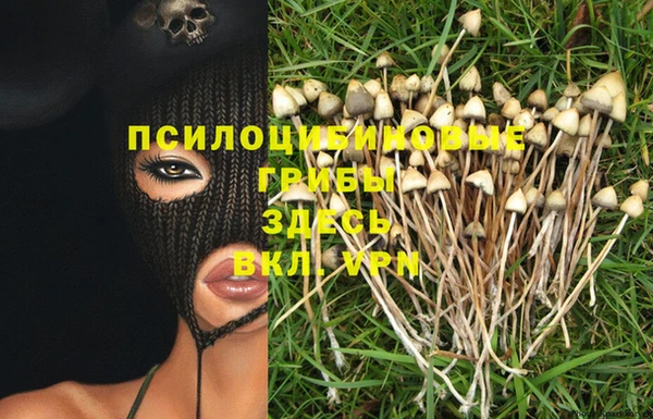 прущие грибы Весьегонск