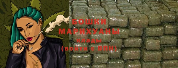 хмурый Ветлуга