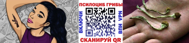 Псилоцибиновые грибы MAGIC MUSHROOMS  hydra как зайти  Пенза 